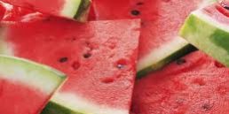 Sandia noticias Frutas HRG