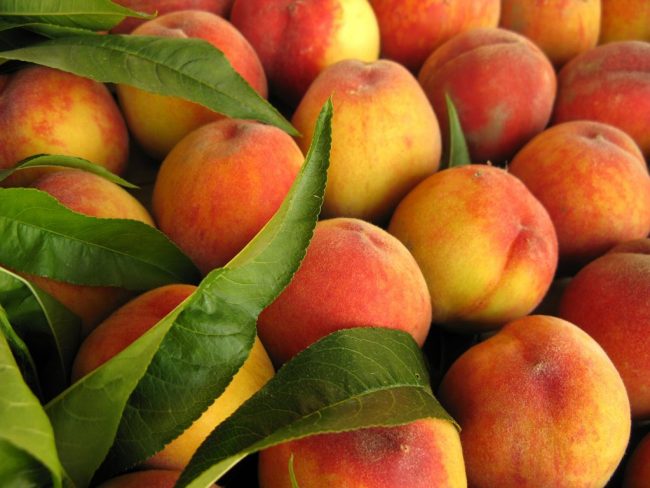 Melocotones noticias Frutas HRG