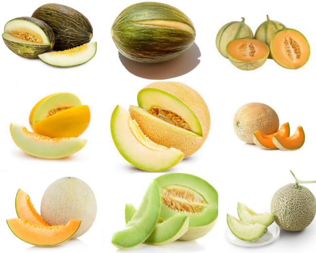 melones