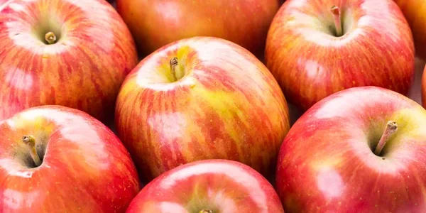 depositphotos_83696420-stock-photo-fuji-organic-apples